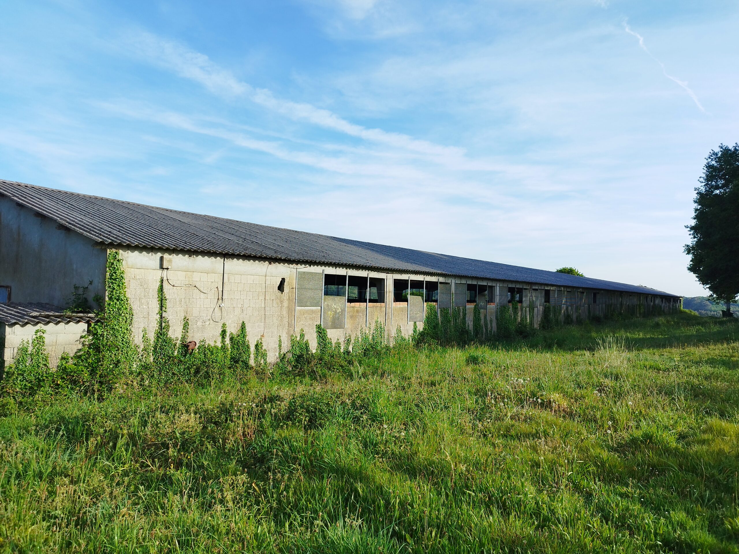 V334 – Se vende NAVE en Os Ánxeles (Boimorto)