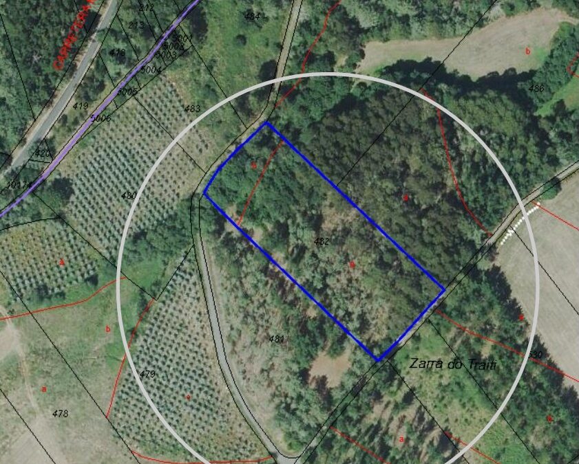V344 – Se venden Fincas de monte en Sampaio (Santiso)