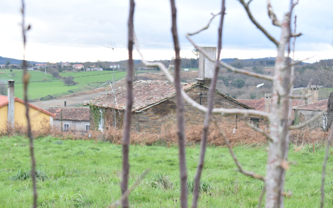 V259 – Se vende Finca en PASTORIZA (ARZÚA)