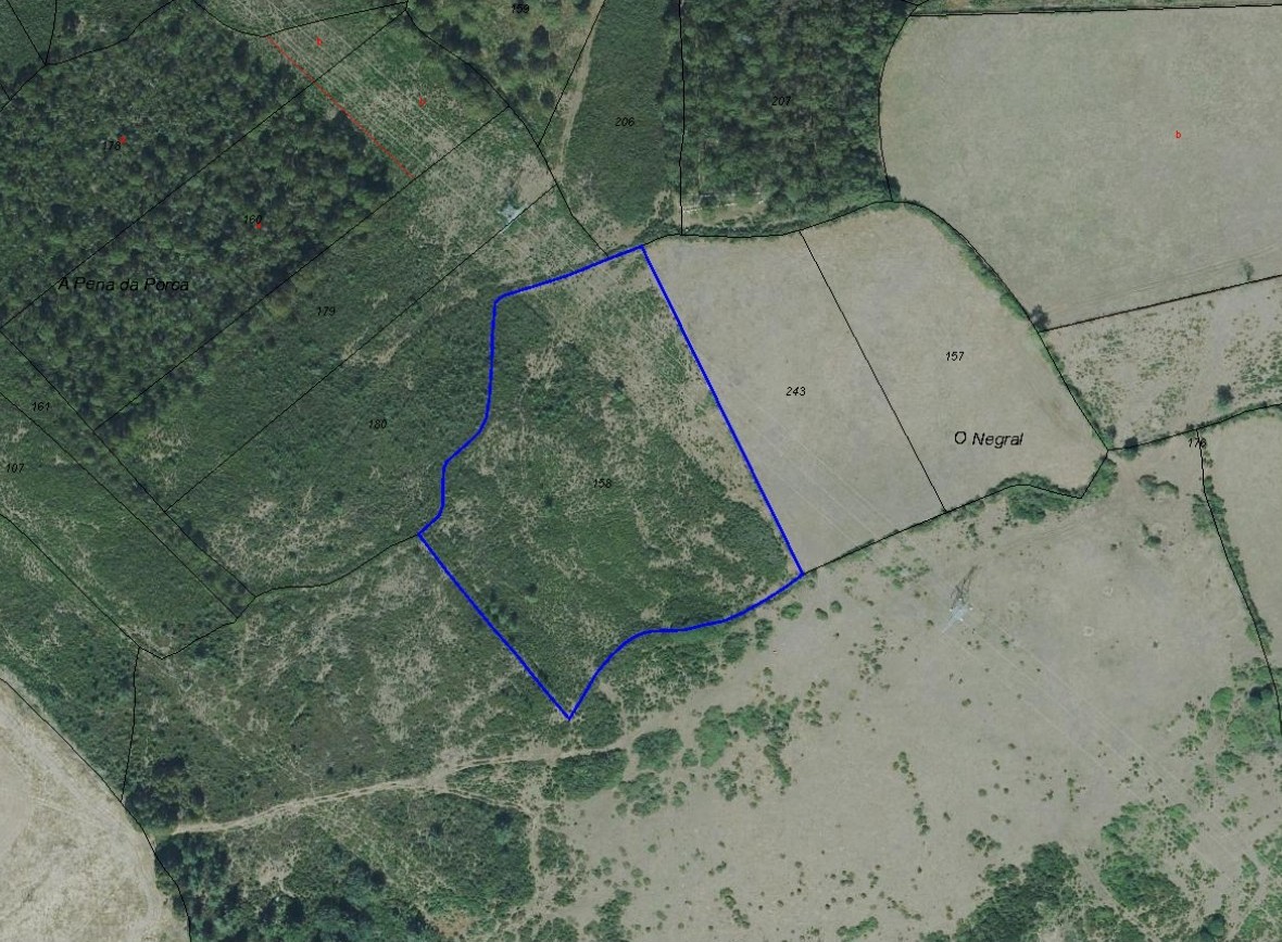 V306 – Se vende Finca en Meire (Melide)